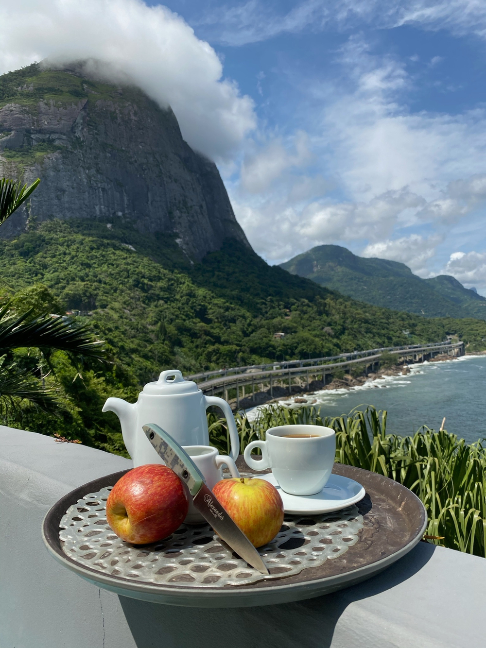 🏆Кухонный нож Alexander S N690 Camo G10