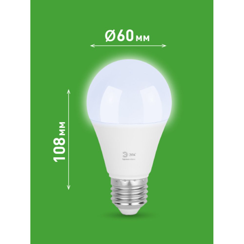 Лампа светодиодная ЭРА GREEN LINE LED A60-20W-865-E27 GL 20Вт груша холодный свет E27 | Лампы cветодиодные Груша (A)