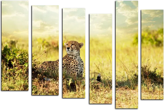 Модульная картина "Задумчивый гепард"