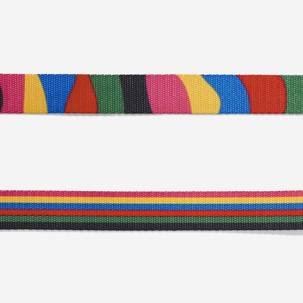 Ошейник CHROMA Zee.Dog