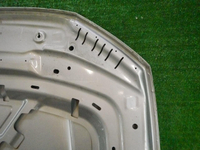 Капот VW Tiguan 2 (2016-2020)