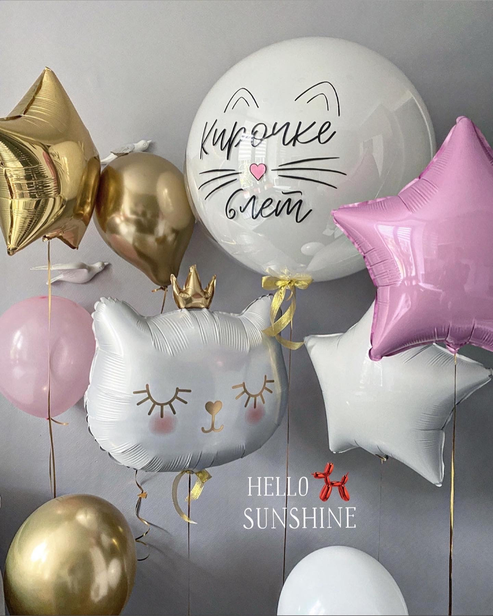 Набор шаров Королевская кошка