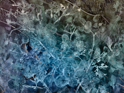 Коллекция AQUARELLE