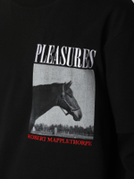 Мужской Лонгслив Horses Layered