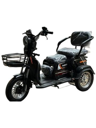 Электрический Трицикл, Трехколесный электроскутер Беркут EV3-2025(Wenbox) красный