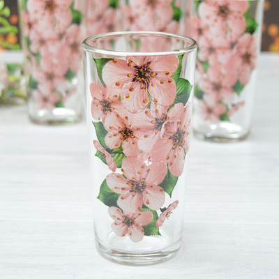 Набор стаканов 6шт 230мл "Сакура"