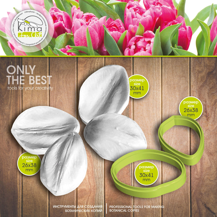 Тюльпан маленький лепестки