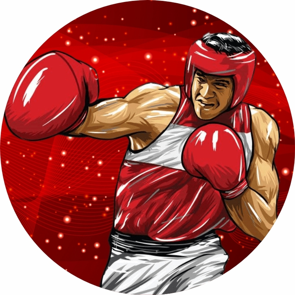 Эмблема Бокс 370-3037