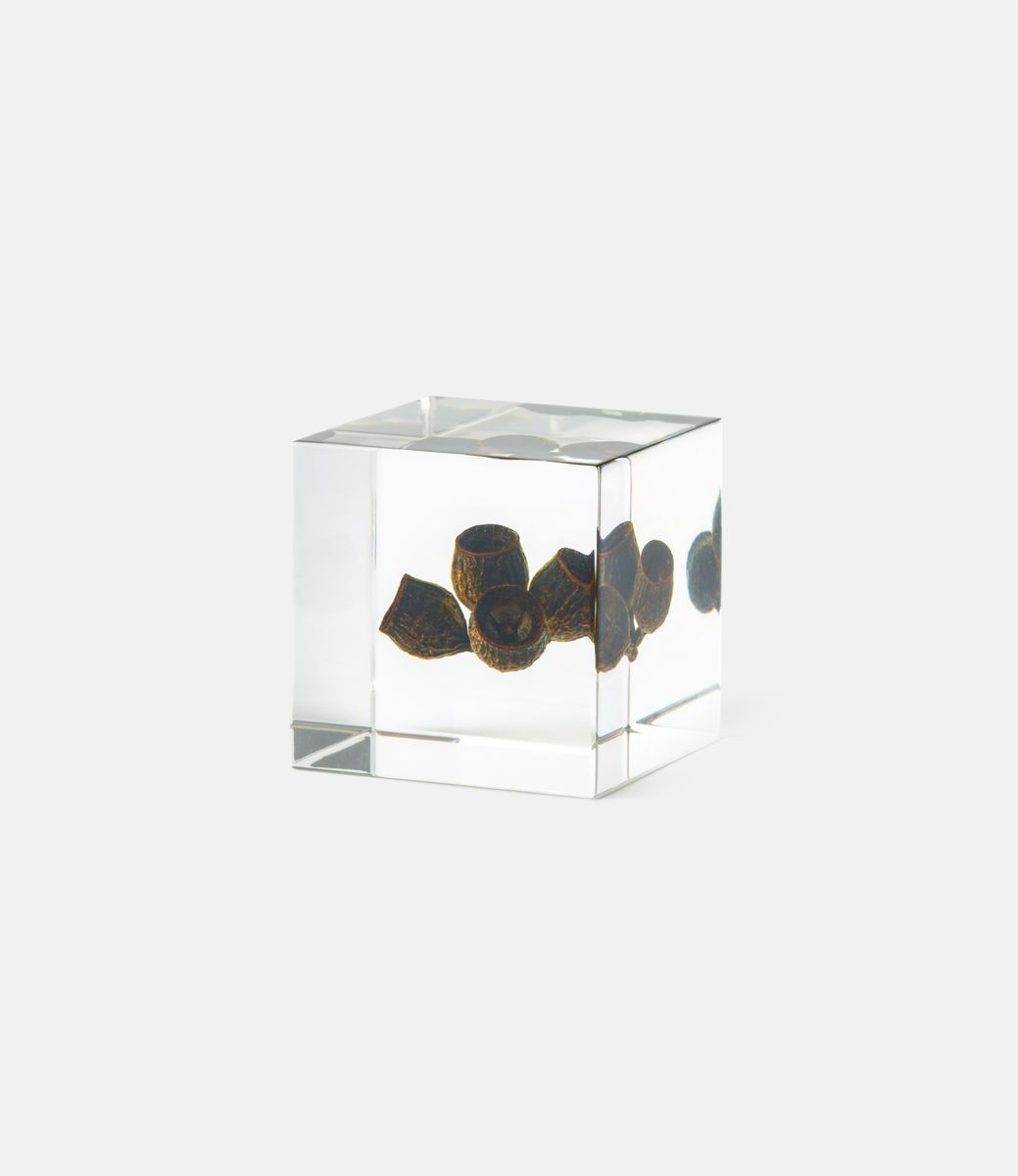 Sola Cube Eucalyptus — куб из акриловой смолы