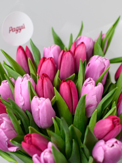 Тюльпаны микс