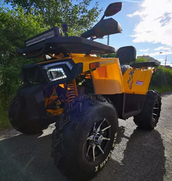 Квадроцикл MOTOLAND (МОТОЛЕНД) 200 WILD TRACK X PRO (баланс. вал)