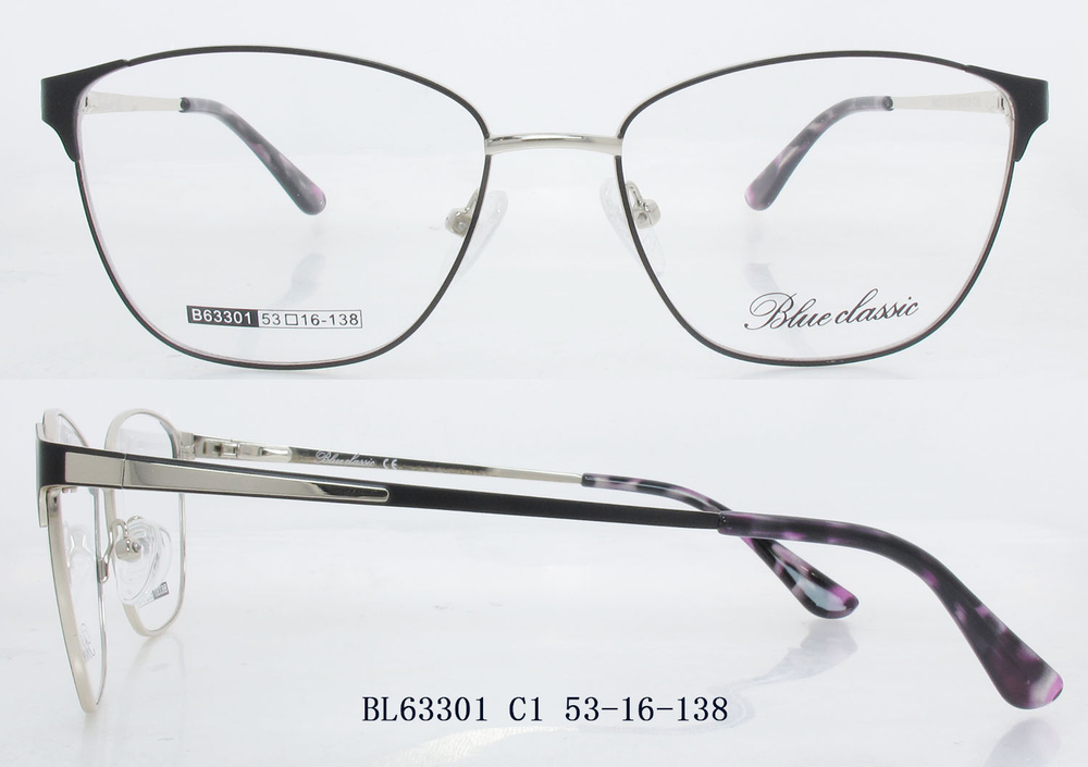 B63301