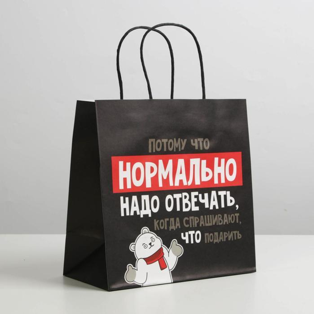 Пакет подарочный «Нормально надо отвечать» 22 × 22 × 11 см.