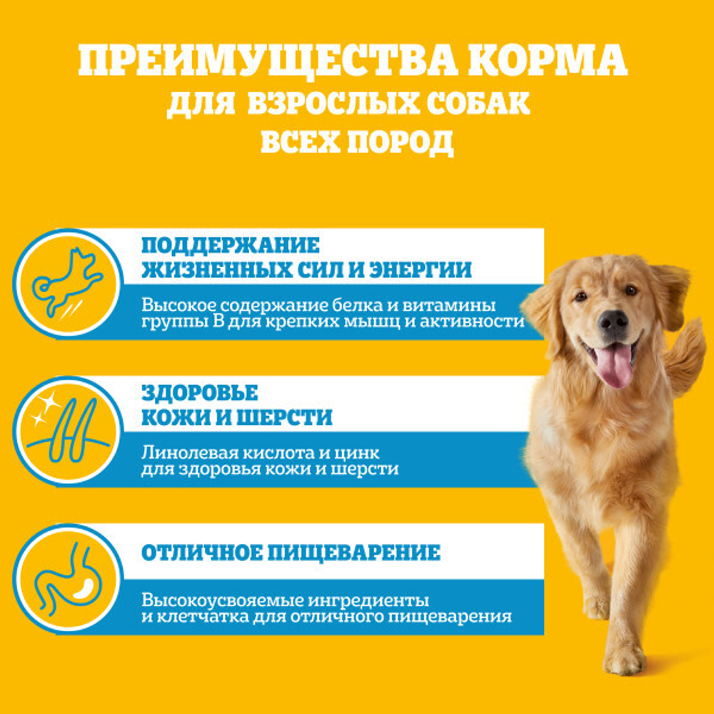 Влажный корм для взрослых собак PEDIGREE с говядиной в соусе 85 г
