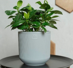 Горшок с дренажной системой РОССИ VipSet 1,9л серый