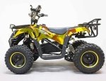 Электроквадроцикл Green Camel Гоби K40 (36V 800W R6 Цепь) быстросъем