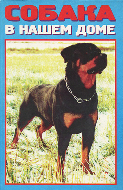 Собака в нашем доме