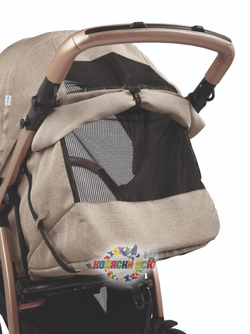 Коляска 2 в 1 Peg-Perego Booklet 50 Travel System