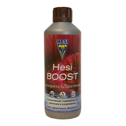 Hesi Boost