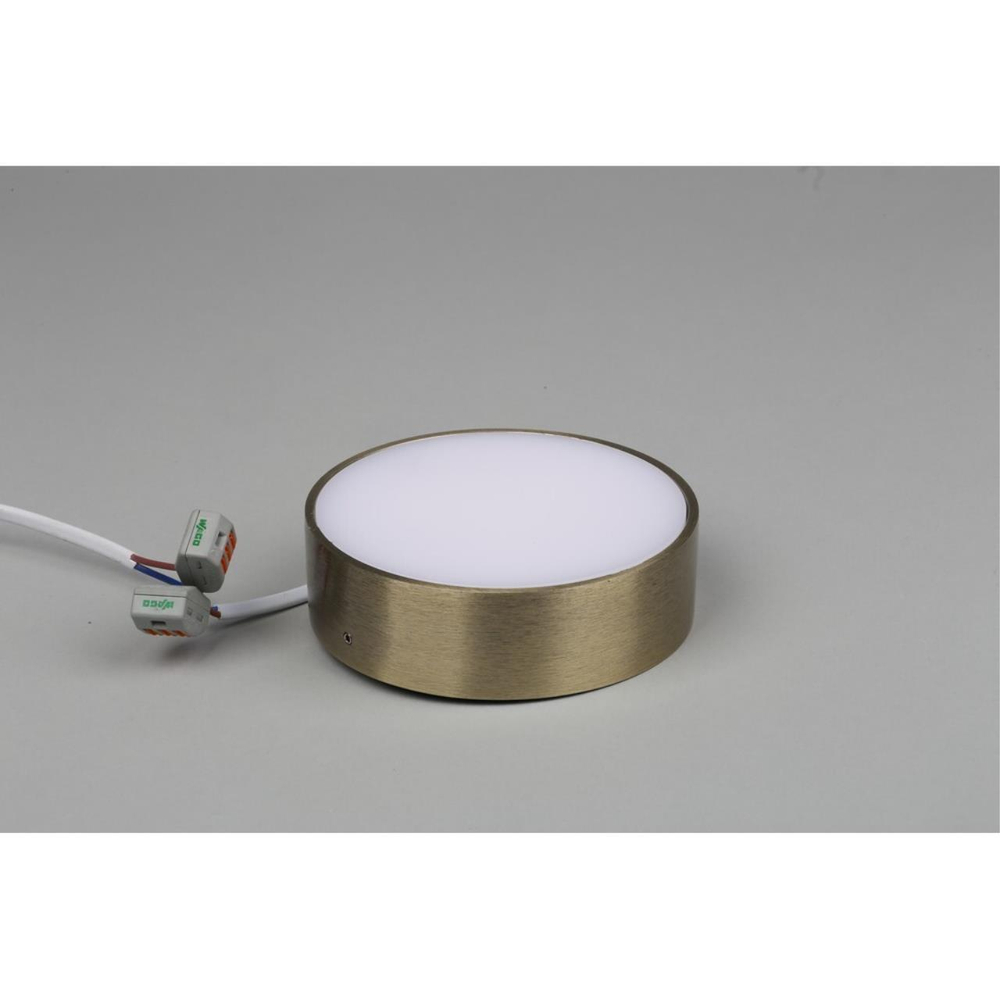 Потолочный светодиодный светильник Aployt Evon APL.0113.29.12