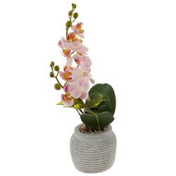 GAEM Цветочная композиция, L15 W13,5 H39 см