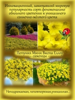 Петуния Супертуния Мини Виста Еллоу