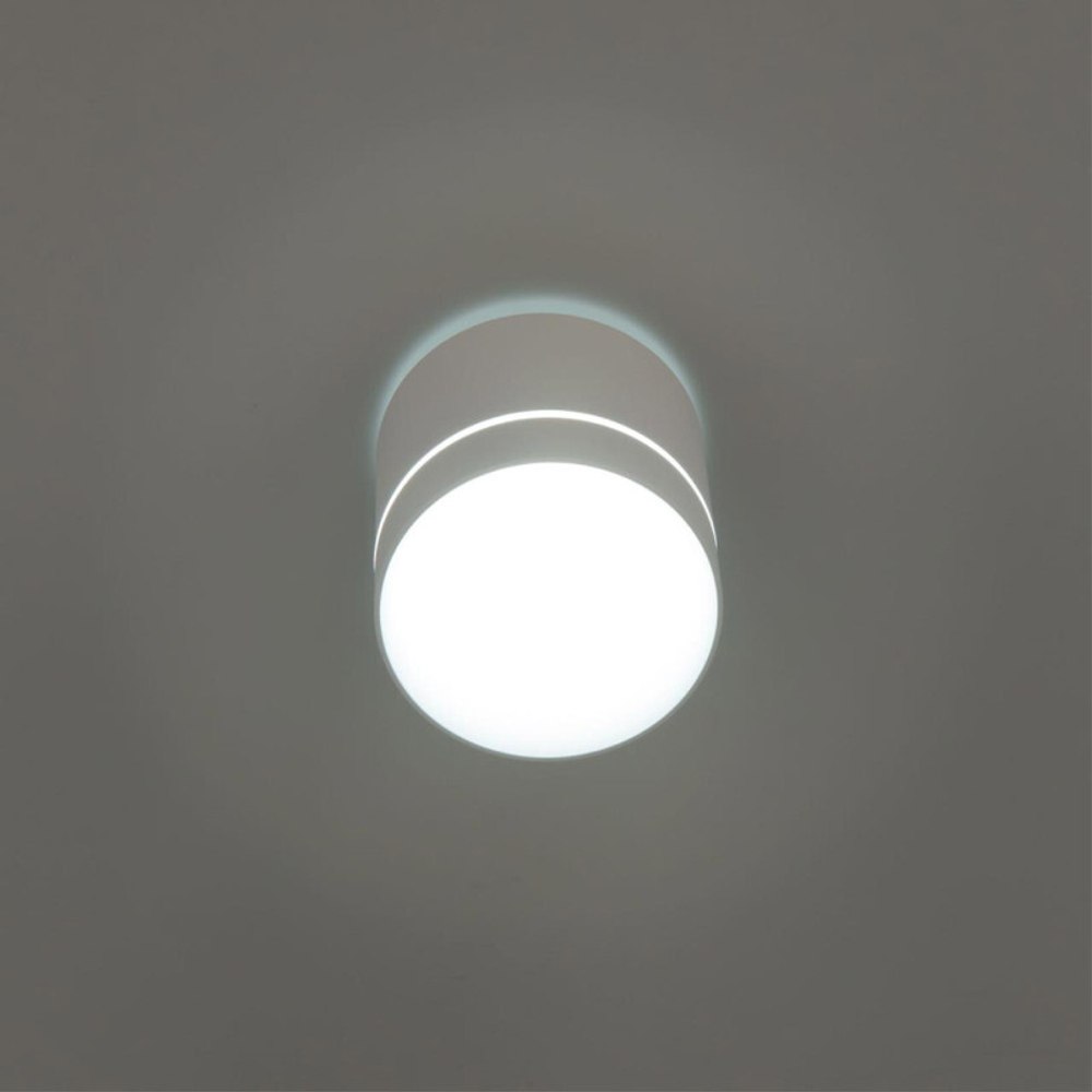 Накладной светильник Citilux CL745020N