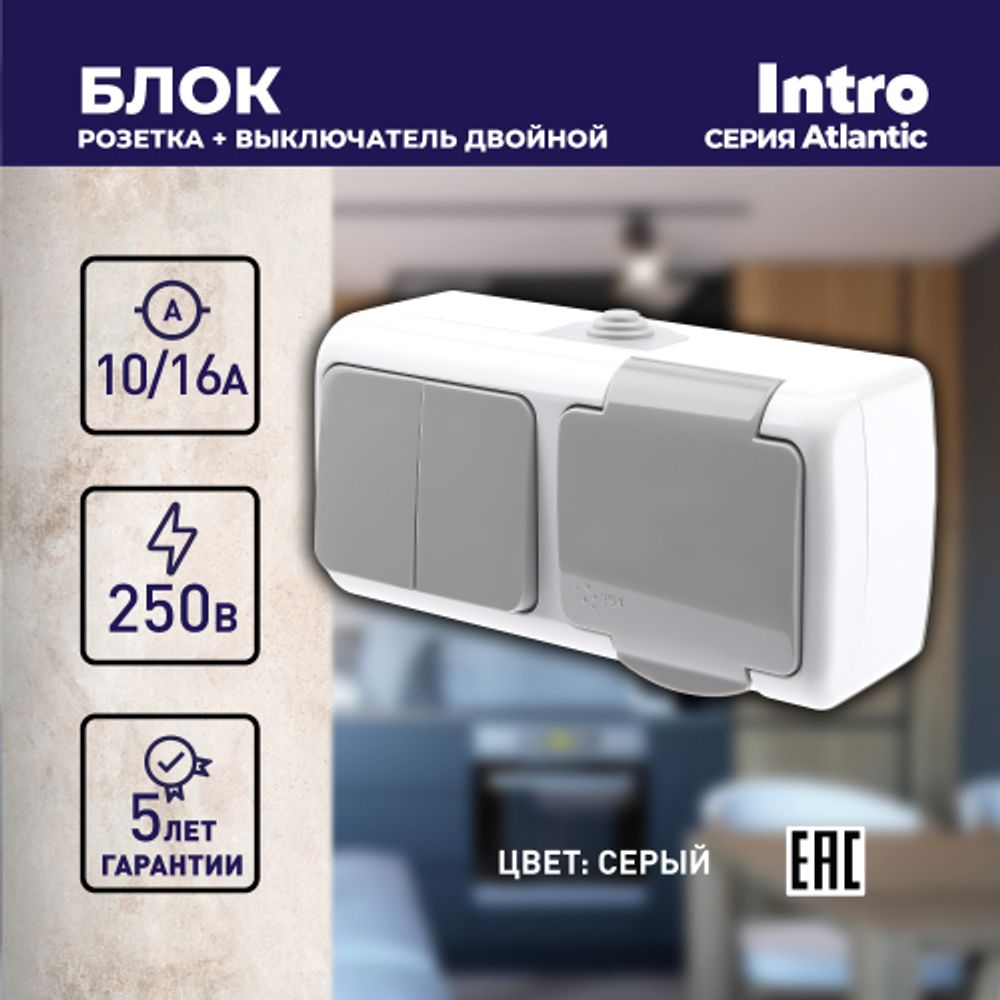 Блок розетка с выключателем Intro Atlantic 5-702-03 двойным 2P+E, 10А-250В, открытой установки, IP54, серый