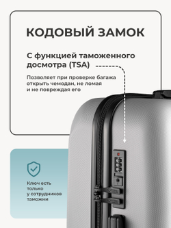 Чемодан S с кейсом в комплекте Серебристый