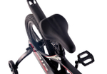 Maxiscoo AIR Pro 16'' (2025)