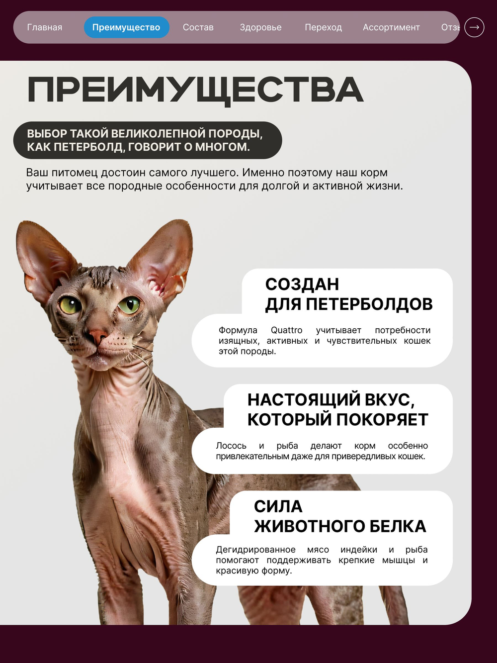 Корм сухой для взрослых кошек породы Петерболд, с лососем, 400 гр, QUATTRO