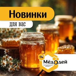 НОВИНКИ НОВИНКИ