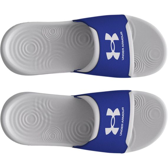 Under Armour Ignite Select 'Halo Grey Team Royal'