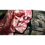 Игра Sniper Elite: Resistance (PS5, русские субтитры)