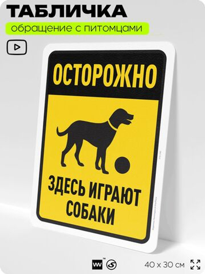 Табличка "Осторожно, здесь играют собаки" на дверь и забор, для двора, дома, подъезда, 40х30 см, Silver Plane x Айдентика Технолоджи