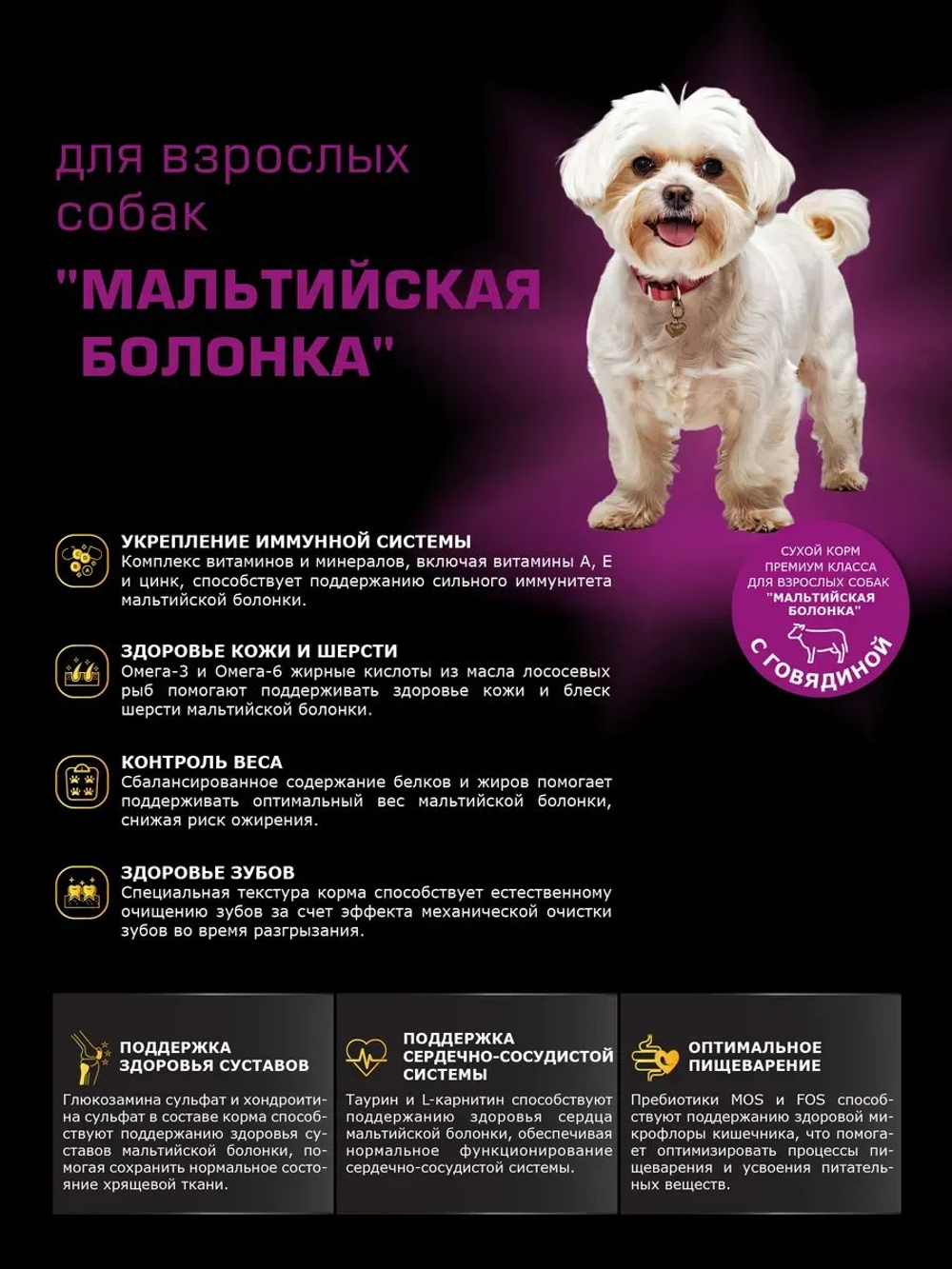 Корм сухой для взрослых собак породы Мальтийская болонка, с говядиной, 2,5 кг, QUATTRO