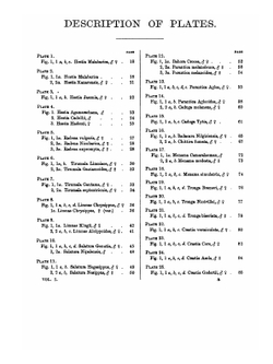 Lepidoptera indica. Volume 1 | Frederic Moore