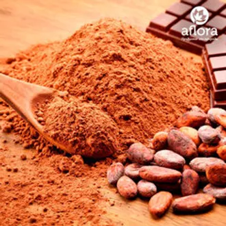 Какао-порошок натуральный Gerkens (Cargill) / 100 гр