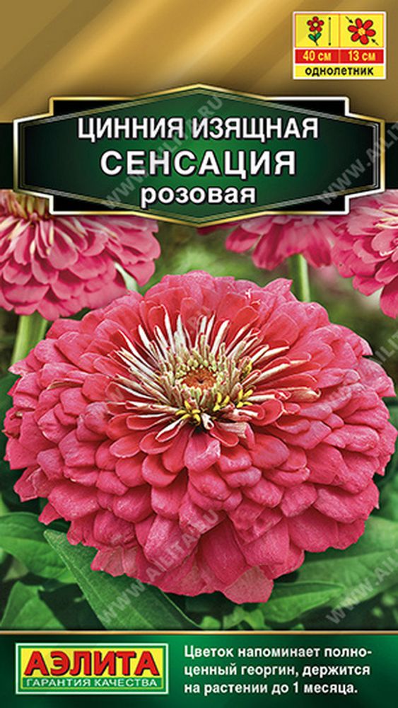 Цинния "G. Сенсация розовая" 12шт., Россия. Цинния "G. Сенсация розовая" 12шт., Россия.