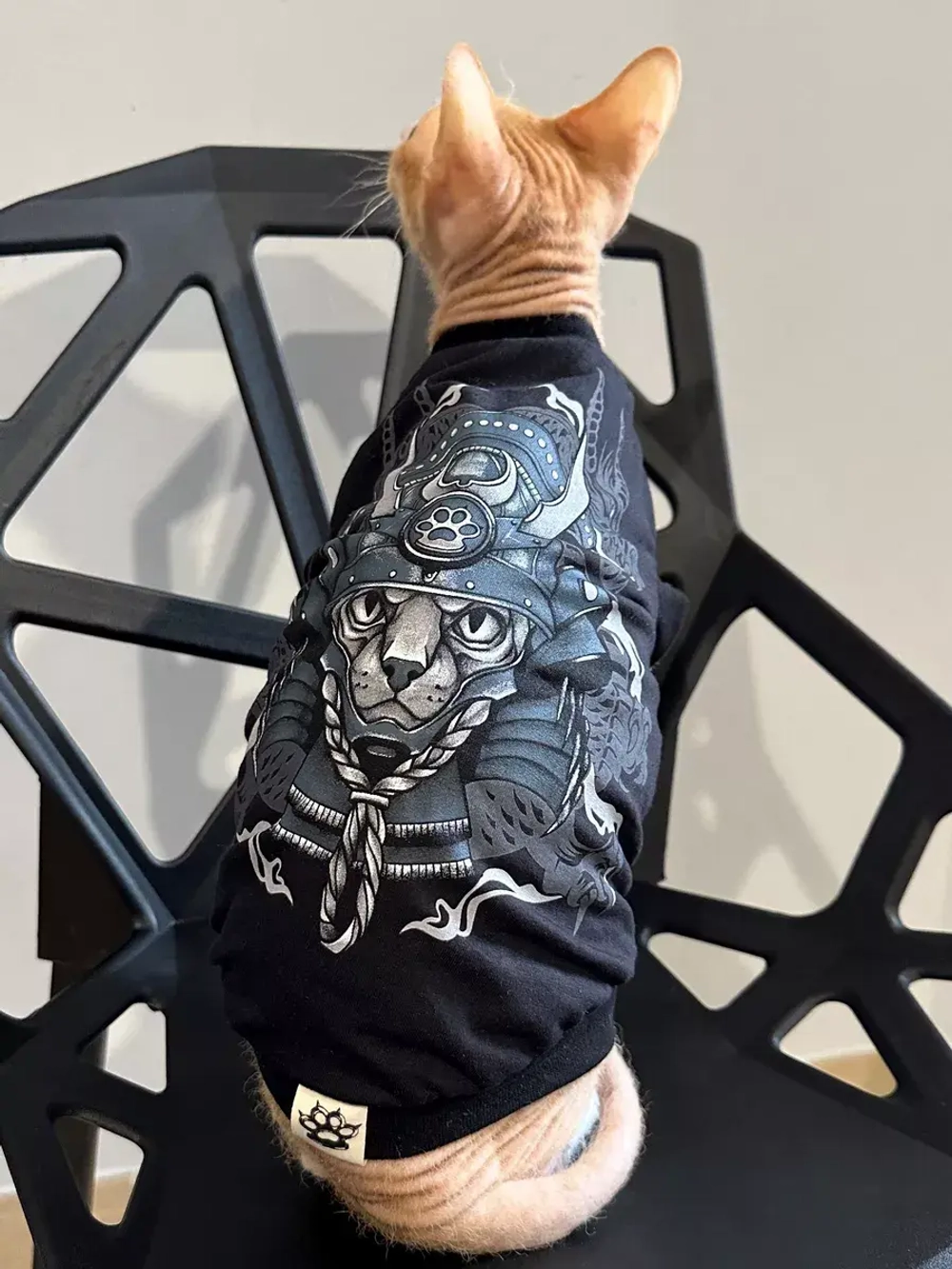 Одежда для кошек сфинкс