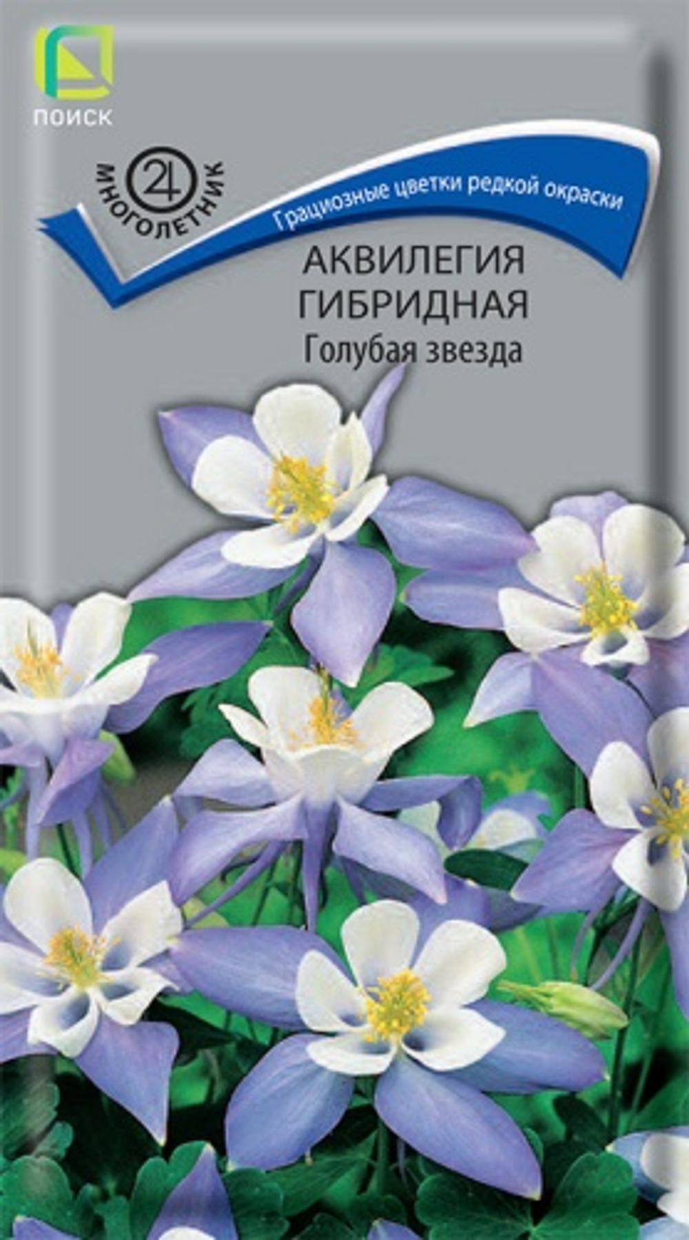 Аквилегия Голубая звезда (Поиск)