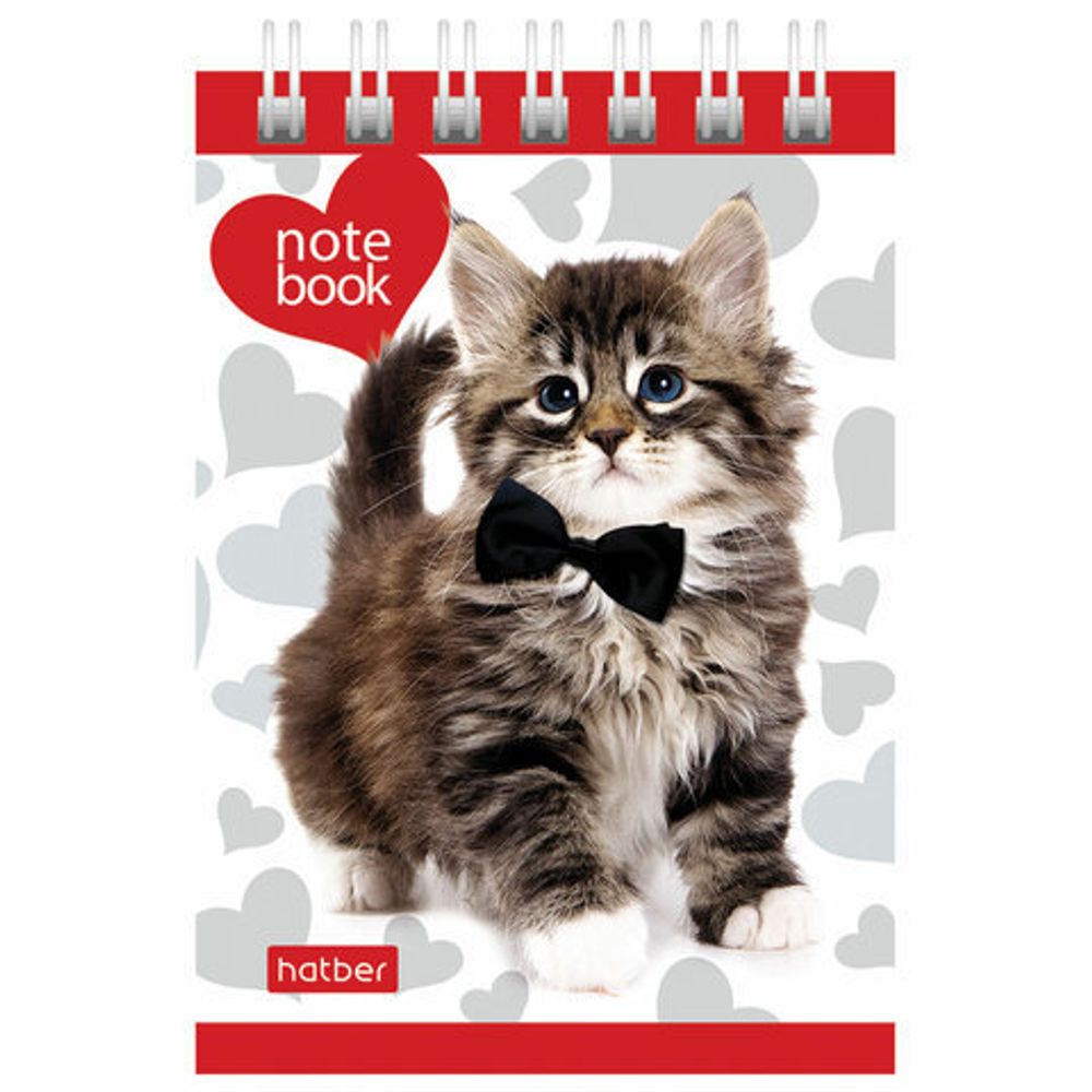 Блокнот МАЛЫЙ ФОРМАТ (68х100 мм) А7, 40 л., гребень, кремовый блок, без линовки, HATBER, "Котята", 40Б7Вгр