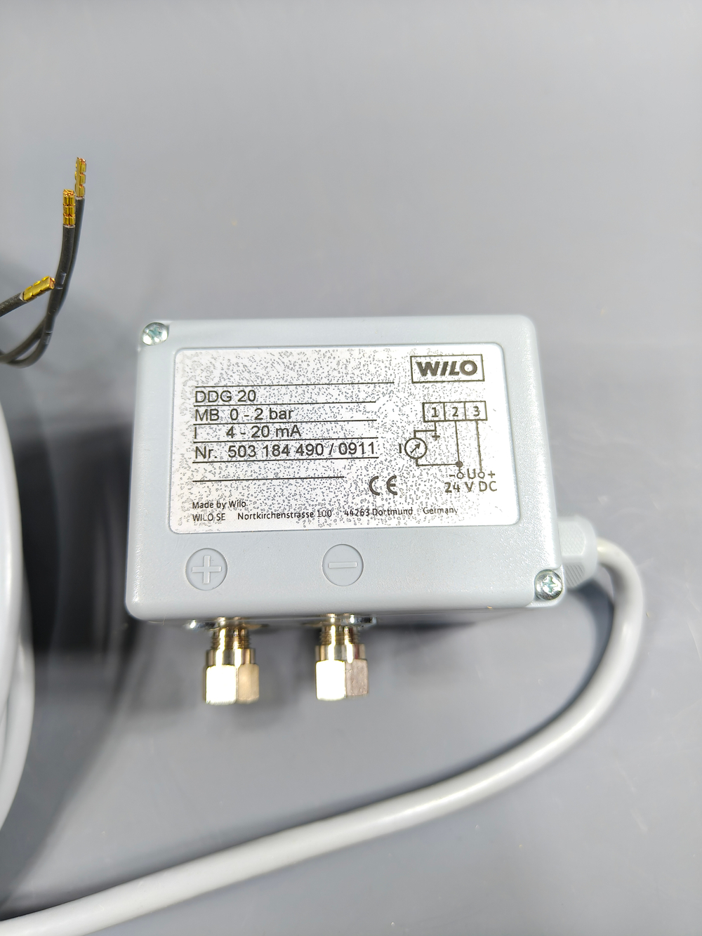 DDG20 - Wilo - 503184490