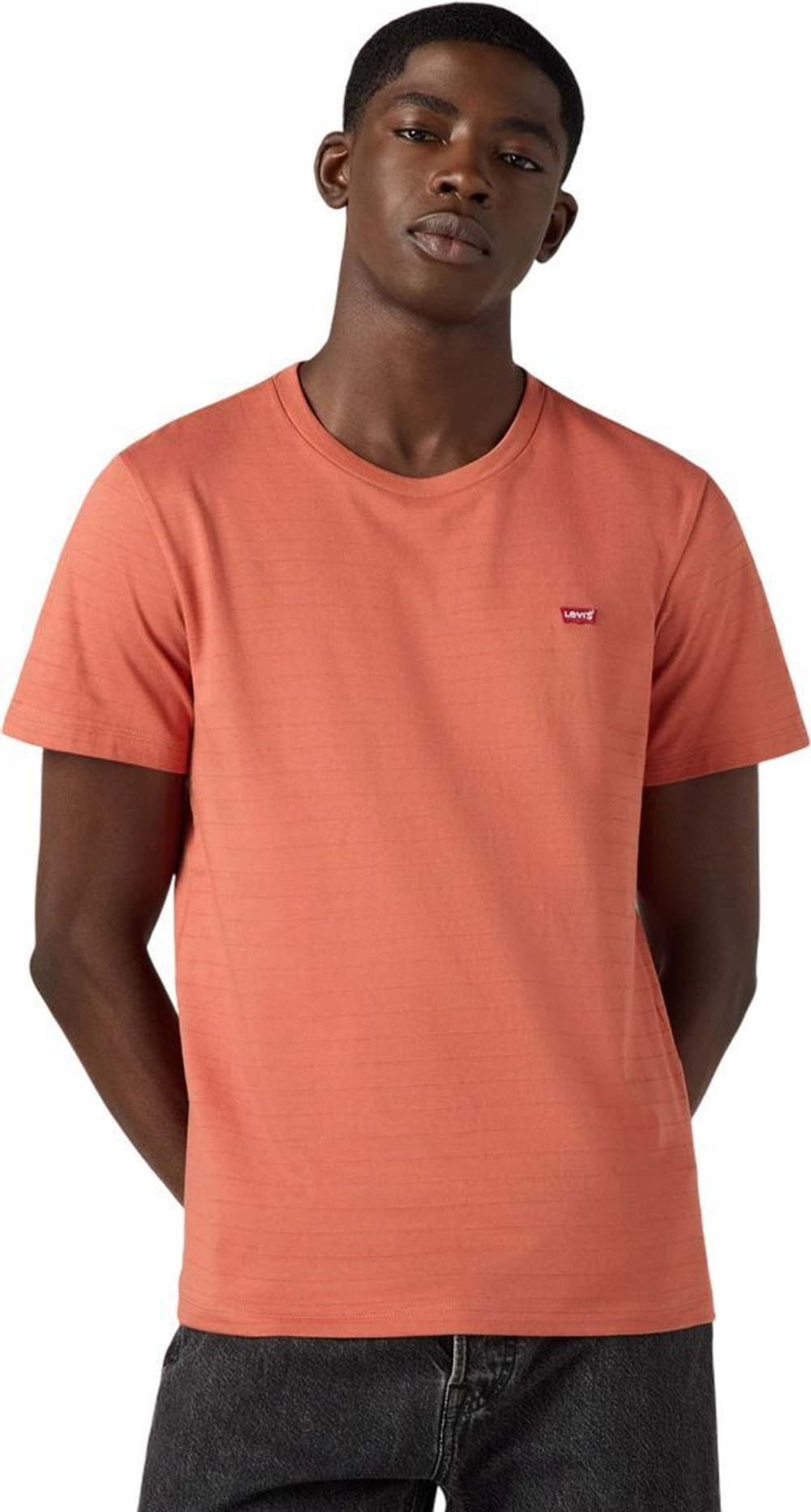 Футболка Levis SS ORIGINAL HM TEE красный