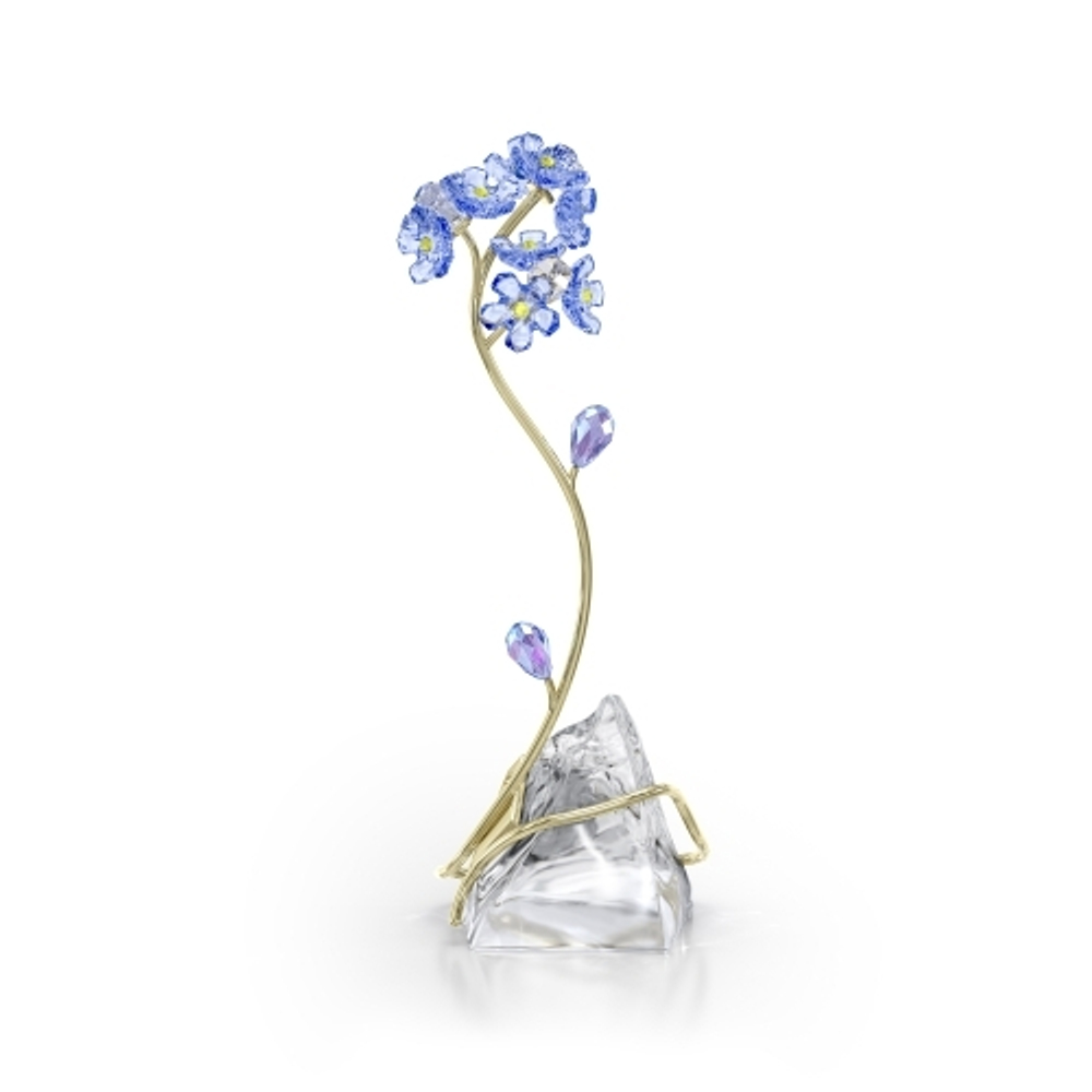 FLORERE:FORGET-ME-NOT