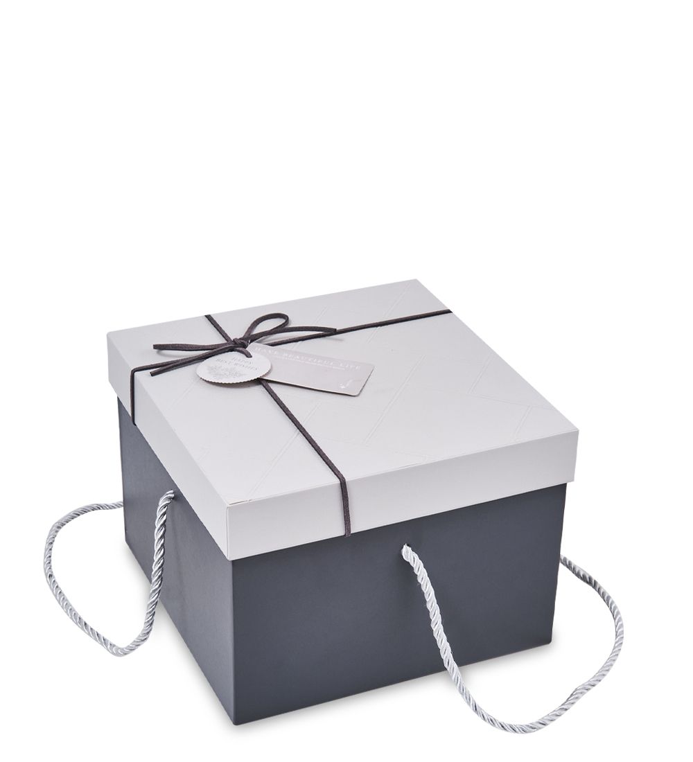 WF-196/1-A Коробка мал., серый/графитовый