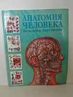 Анатомия человека: болезни и нарушения