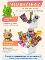 Подарочный набор сладостей 45 штук Сладкий бокс с Лабубу