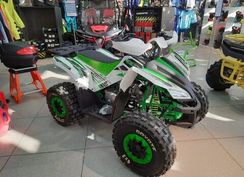 Квадроцикл MOTOLAND 125 COYOTE PRO Б/У