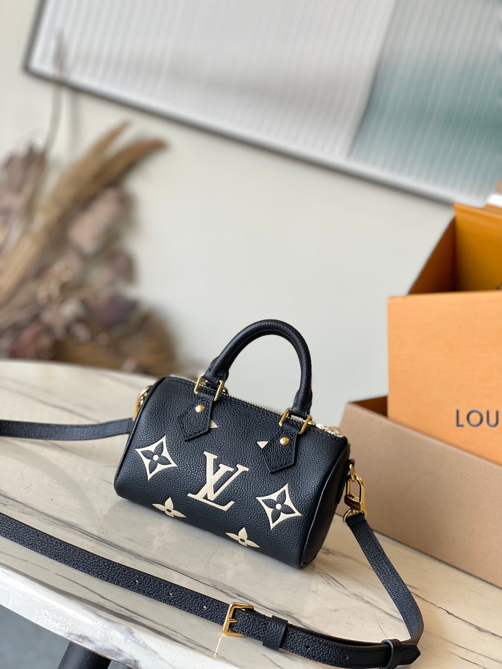 Louis Vuitton Nano Speedy